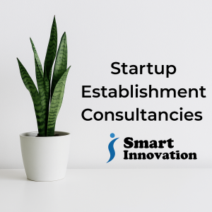Startup Establishment Consultancies supporting entrepreneurs in Egypt